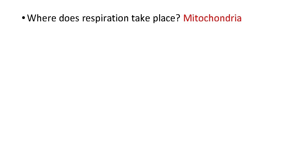 • Where does respiration take place? Mitochondria • Where does respiration take place? Mitochondria
