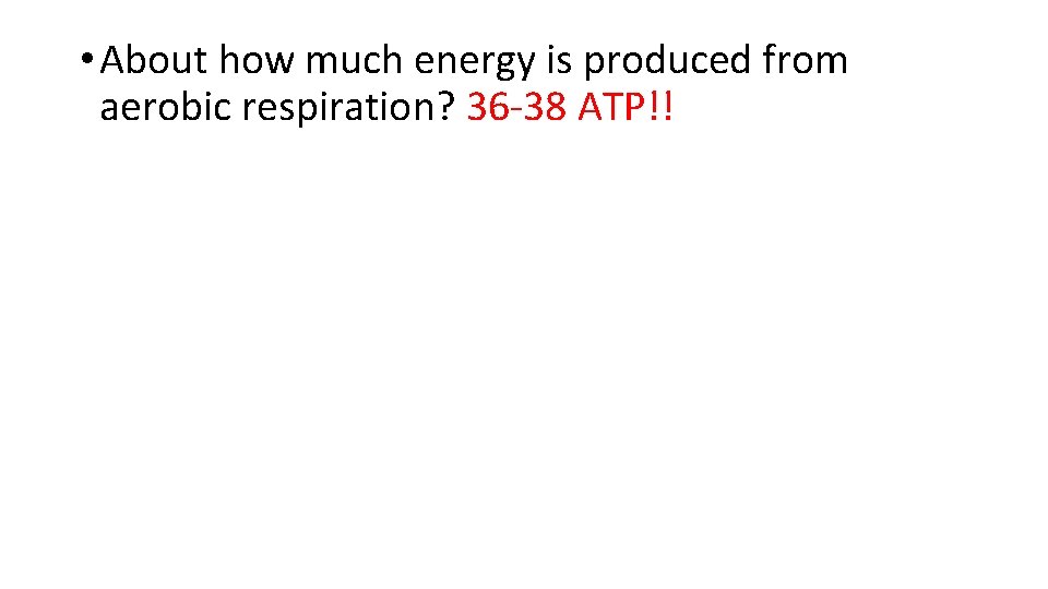 • About how much energy is produced from aerobic respiration? 36 -38 ATP!! • About how much energy is produced from aerobic respiration? 36 -38 ATP!!