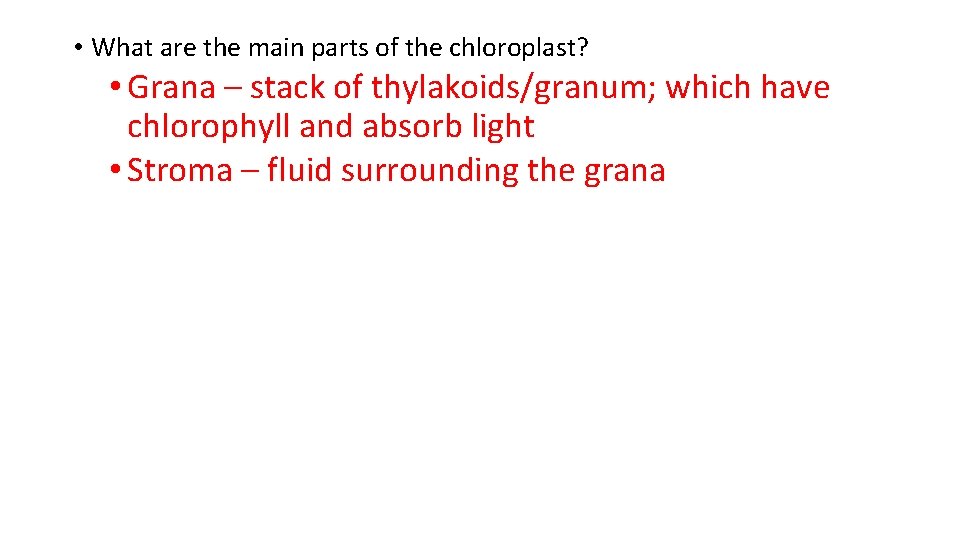 • What are the main parts of the chloroplast? • Grana – stack • What are the main parts of the chloroplast? • Grana – stack