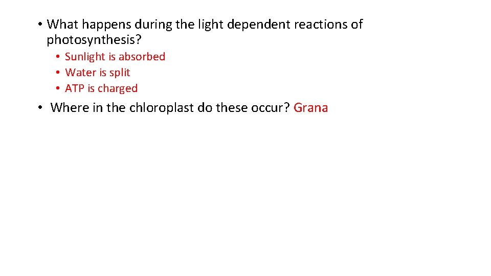 • What happens during the light dependent reactions of photosynthesis? • Sunlight is • What happens during the light dependent reactions of photosynthesis? • Sunlight is