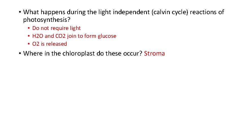 • What happens during the light independent (calvin cycle) reactions of photosynthesis? • • What happens during the light independent (calvin cycle) reactions of photosynthesis? •