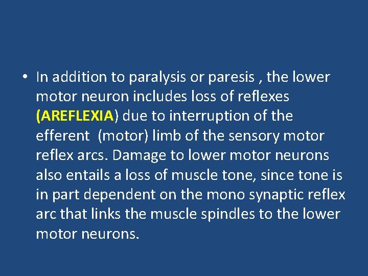  • In addition to paralysis or paresis , the lower motor neuron includes