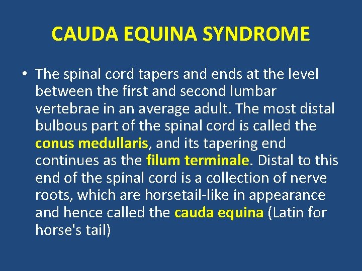 CAUDA EQUINA SYNDROME • The spinal cord tapers and ends at the level between