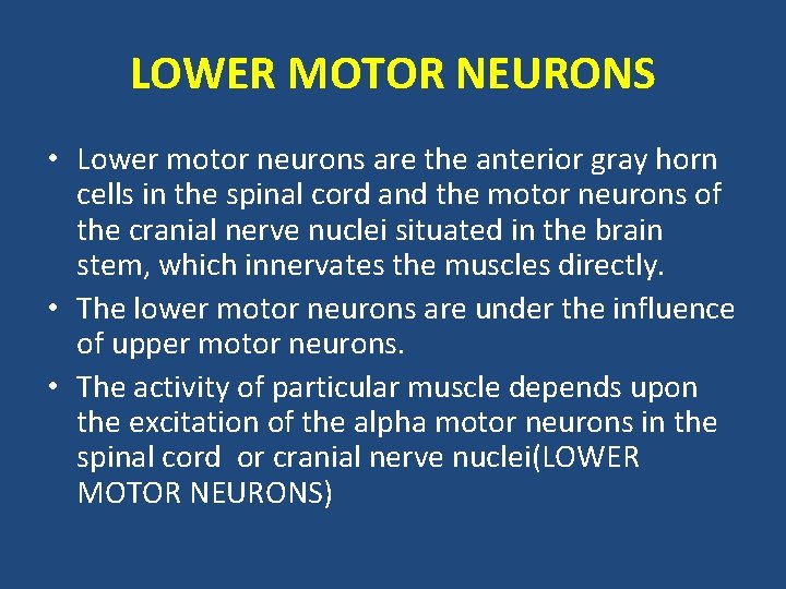 LOWER MOTOR NEURONS • Lower motor neurons are the anterior gray horn cells in