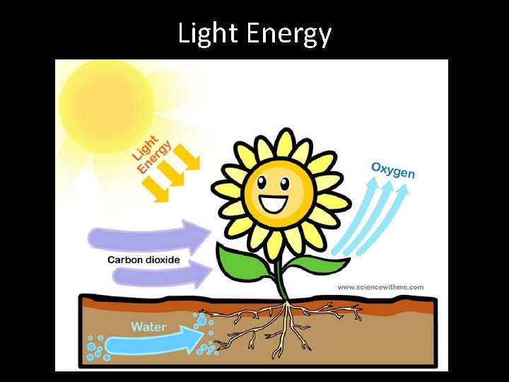Light Energy Light Energy