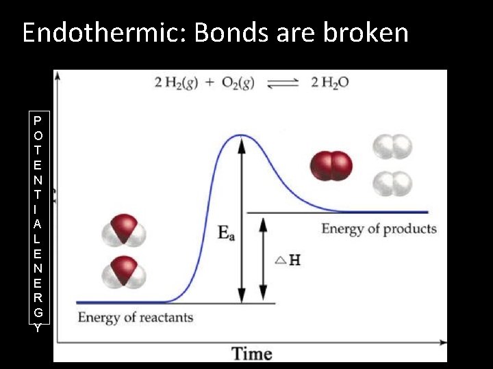 Endothermic: Bonds are broken P O T E N T I A L E Endothermic: Bonds are broken P O T E N T I A L E