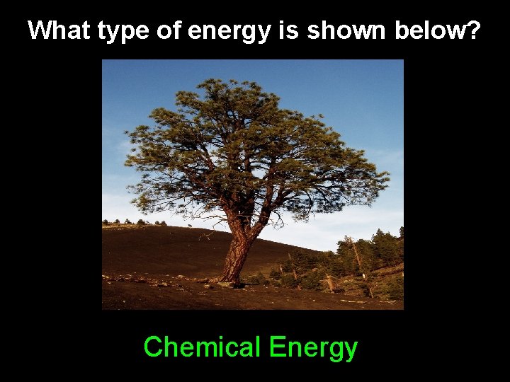 What type of energy is shown below? Chemical Energy What type of energy is shown below? Chemical Energy