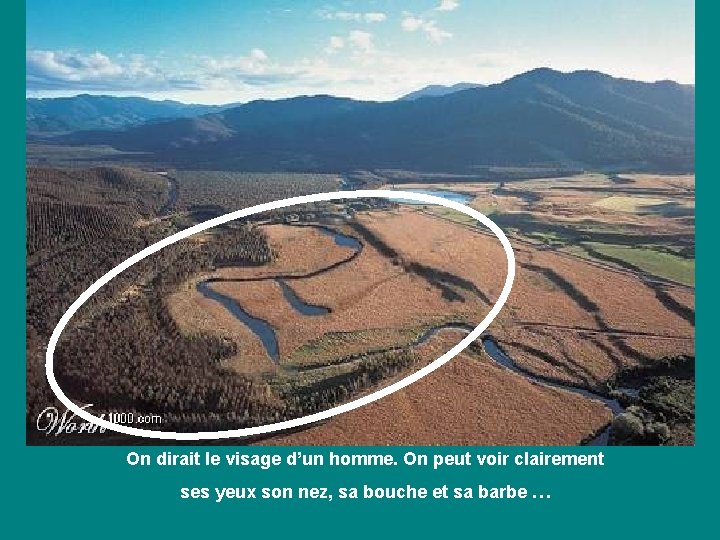 On dirait le visage d’un homme. On peut voir clairement ses yeux son nez,