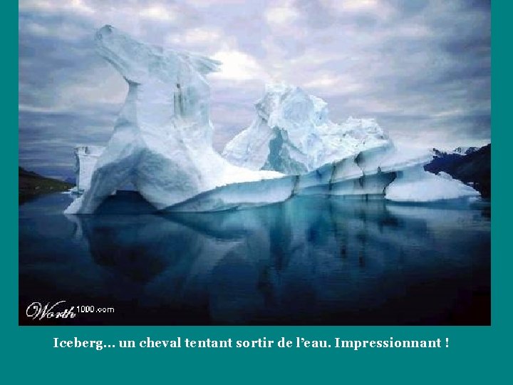 Iceberg… un cheval tentant sortir de l’eau. Impressionnant ! 