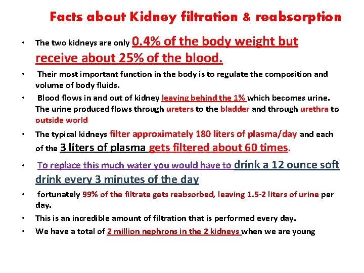 Facts about Kidney filtration & reabsorption • The two kidneys are only 0. 4%