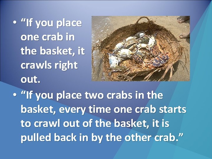  • “If you place one crab in the basket, it crawls right out.