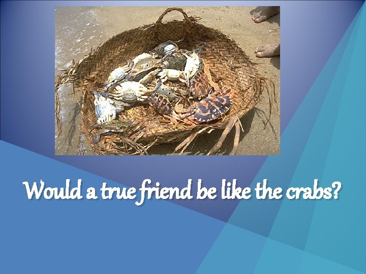 Would a true friend be like the crabs? 