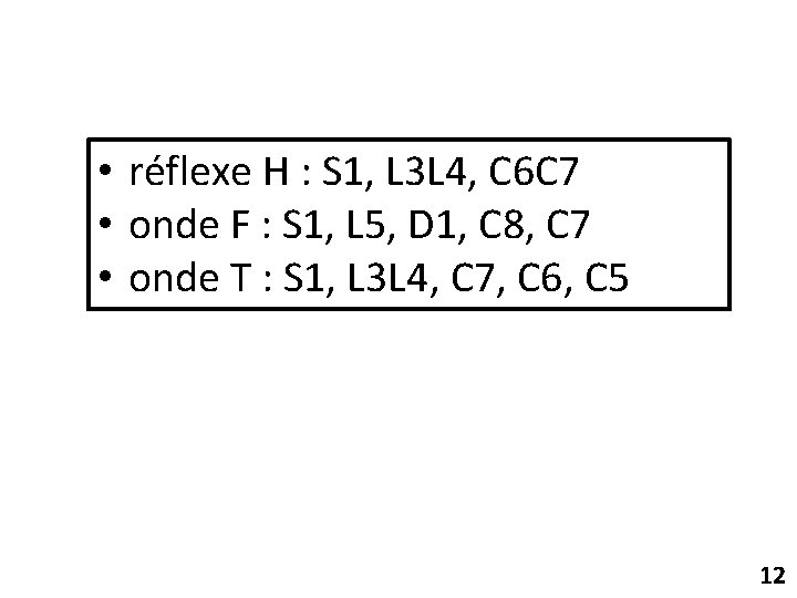  • réflexe H : S 1, L 3 L 4, C 6 C