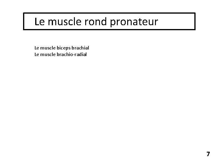 Le muscle rond pronateur Le muscle biceps brachial Le muscle brachio-radial 7 
