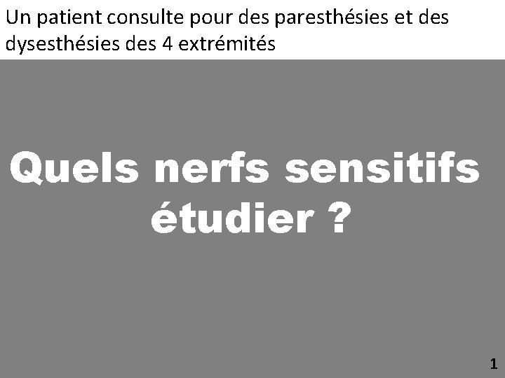 Un patient consulte pour des paresthésies et des dysesthésies des 4 extrémités Quels nerfs