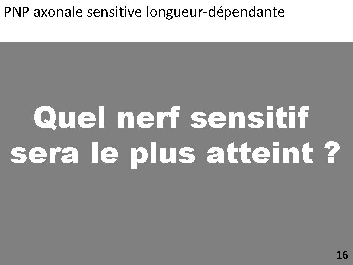 PNP axonale sensitive longueur-dépendante Quel nerf sensitif sera le plus atteint ? 16 