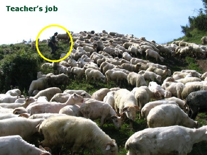 Teacher’s job 