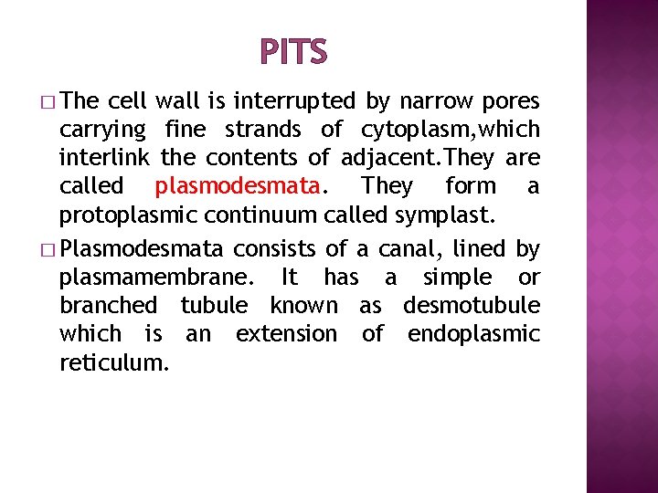 PITS � The cell wall is interrupted by narrow pores carrying fine strands of