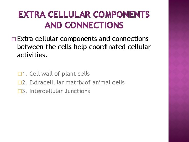 EXTRA CELLULAR COMPONENTS AND CONNECTIONS � Extra cellular components and connections between the cells