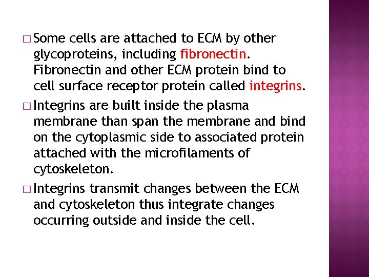 � Some cells are attached to ECM by other glycoproteins, including fibronectin. Fibronectin and