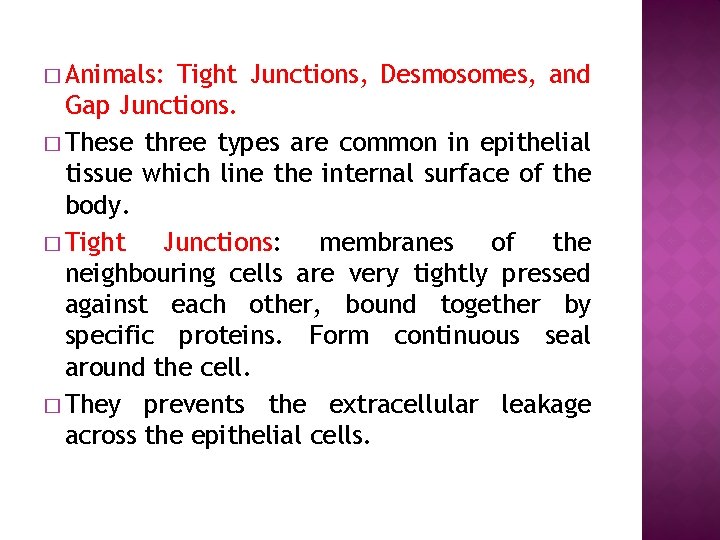 � Animals: Tight Junctions, Desmosomes, and Gap Junctions. � These three types are common