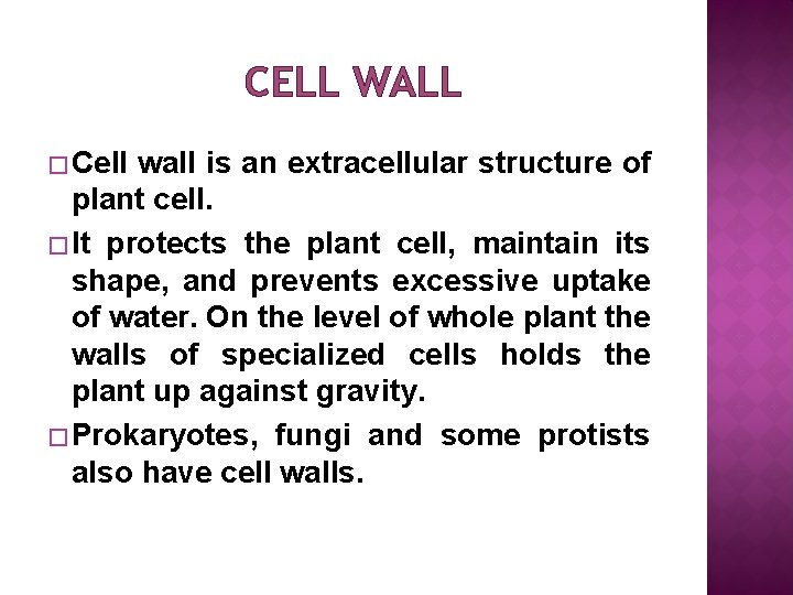 CELL WALL � Cell wall is an extracellular structure of plant cell. � It