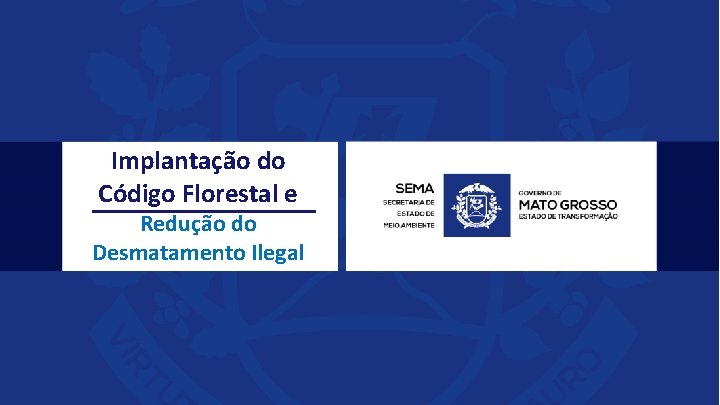 Implantação do Código Florestal e Redução do Desmatamento Ilegal 