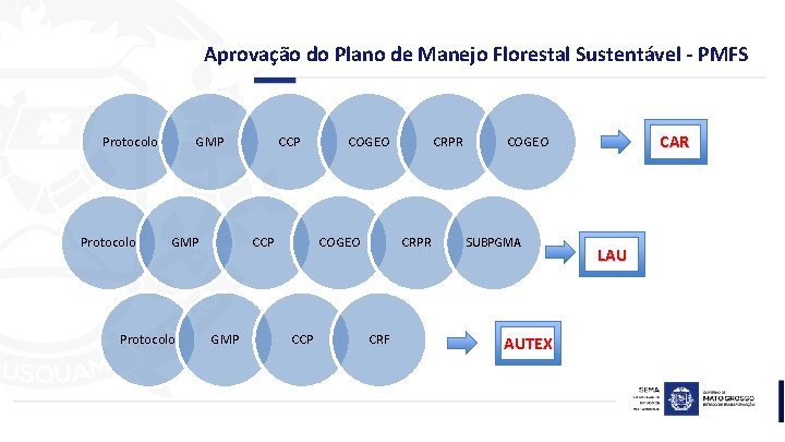 Aprovação do Plano de Manejo Florestal Sustentável - PMFS Protocolo GMP Protocolo CCP GMP