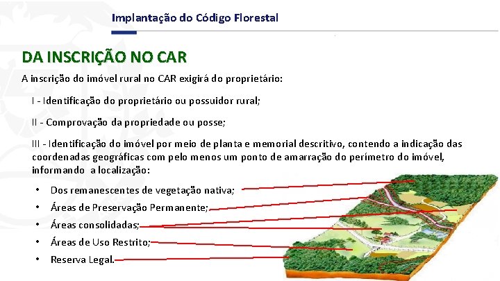 Implantação do Código Florestal DA INSCRIÇÃO NO CAR A inscrição do imóvel rural no