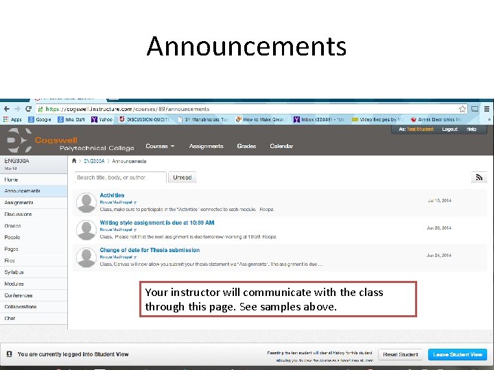 Announcements Your instructor will communicate with the class through this page. See samples above.