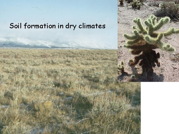 Soil formation in dry climates Soil formation in dry climates