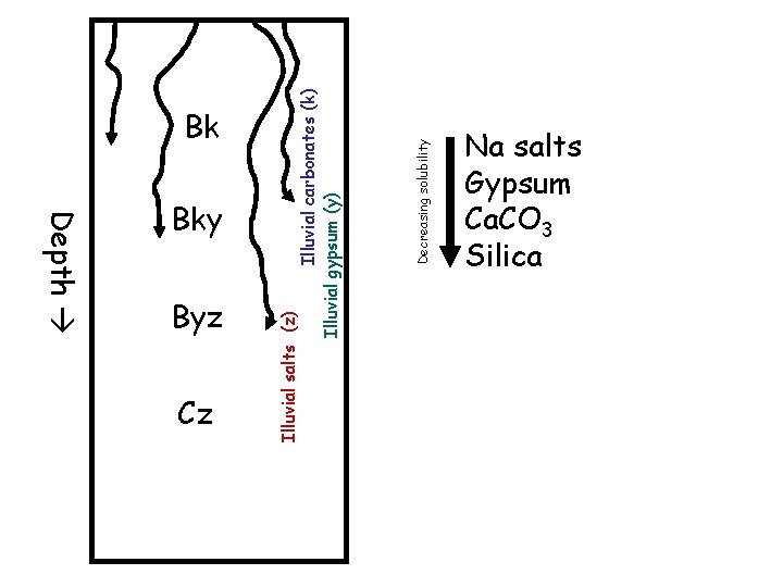 Depth Byz Cz Decreasing solubility Illuvial carbonates (k) Illuvial gypsum (y) Bky Illuvial salts Depth Byz Cz Decreasing solubility Illuvial carbonates (k) Illuvial gypsum (y) Bky Illuvial salts