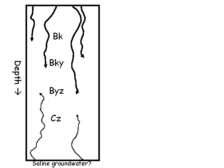 Bk Depth Bky Byz Cz Saline groundwater? Bk Depth Bky Byz Cz Saline groundwater?