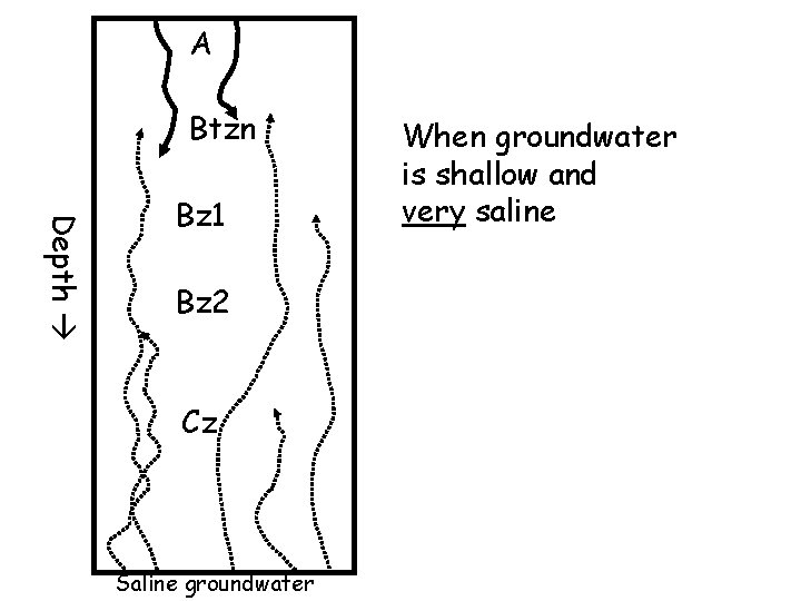 A Btzn Depth Bz 1 Bz 2 Cz Saline groundwater When groundwater is shallow A Btzn Depth Bz 1 Bz 2 Cz Saline groundwater When groundwater is shallow