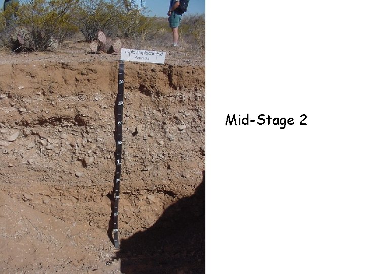 Mid-Stage 2 Mid-Stage 2