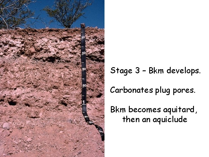 Stage 3 – Bkm develops. Carbonates plug pores. Bkm becomes aquitard, then an aquiclude Stage 3 – Bkm develops. Carbonates plug pores. Bkm becomes aquitard, then an aquiclude