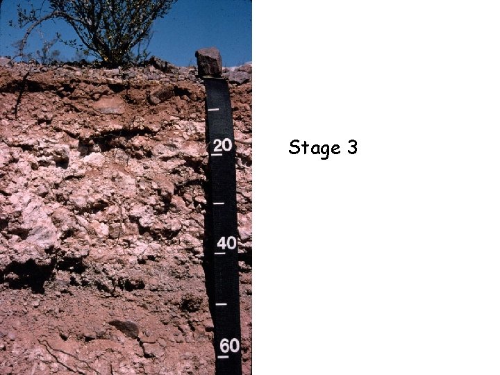 Stage 3 Stage 3
