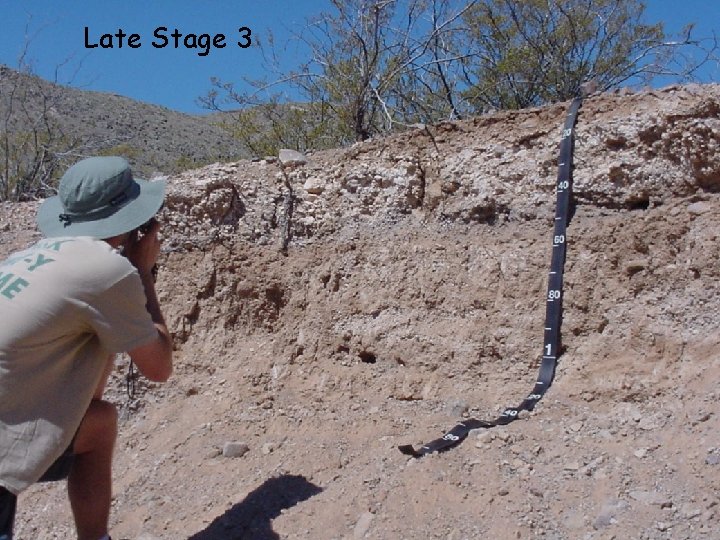 Late Stage 3 Late Stage 3