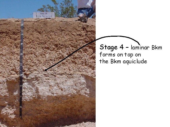 Stage 4 – laminar Bkm forms on top on the Bkm aquiclude Stage 4 – laminar Bkm forms on top on the Bkm aquiclude
