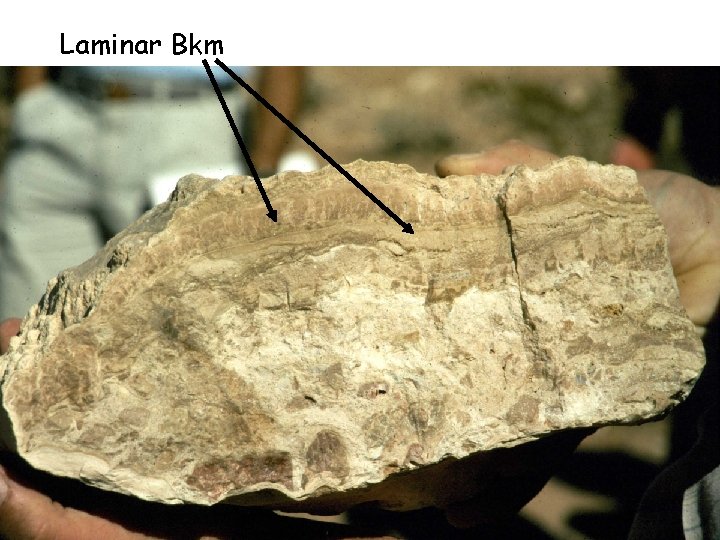 Laminar Bkm Laminar Bkm