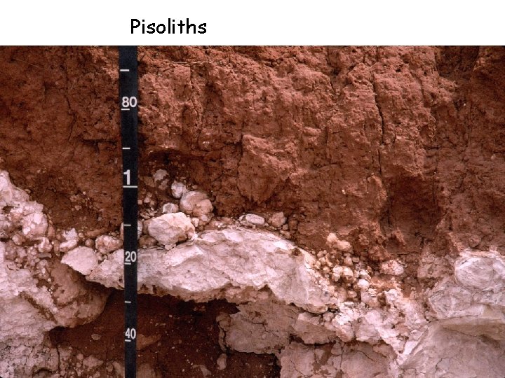 Pisoliths Pisoliths