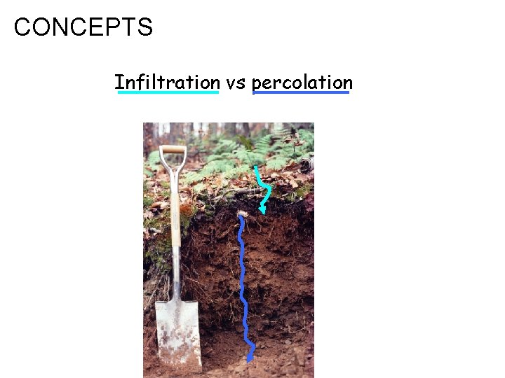 CONCEPTS Infiltration vs percolation CONCEPTS Infiltration vs percolation