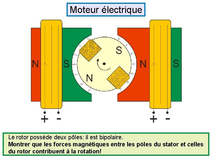 Moteur électrique Le rotor possède deux pôles: il est bipolaire. Montrer que les forces