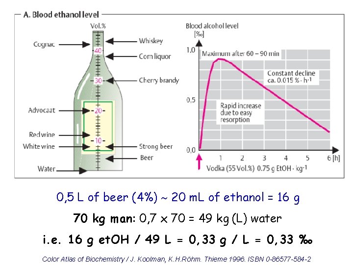 0, 5 L of beer (4%) 20 m. L of ethanol = 16 g
