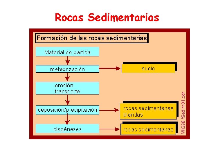 Rocas Sedimentarias 