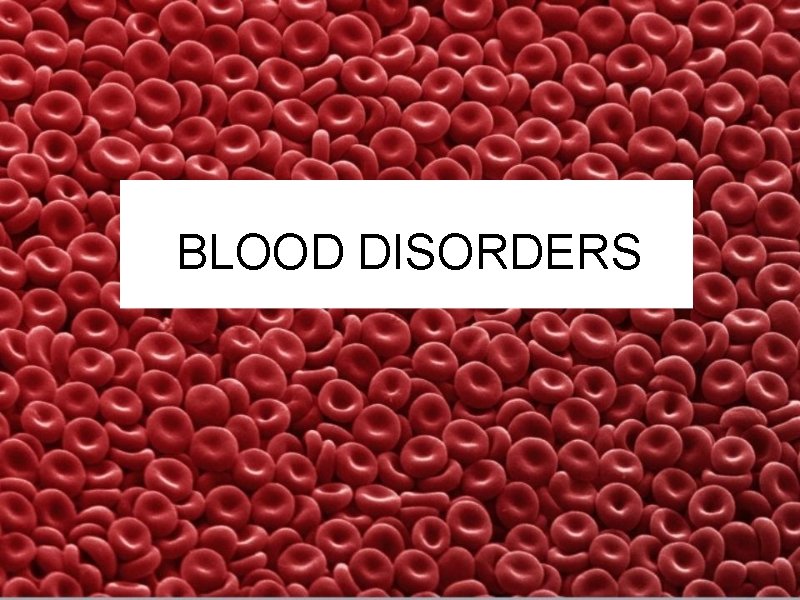 BLOOD DISORDERS 