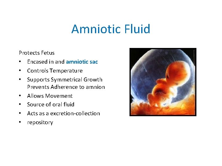 Amniotic Fluid Protects Fetus • Encased in and amniotic sac • Controls Temperature • Amniotic Fluid Protects Fetus • Encased in and amniotic sac • Controls Temperature •