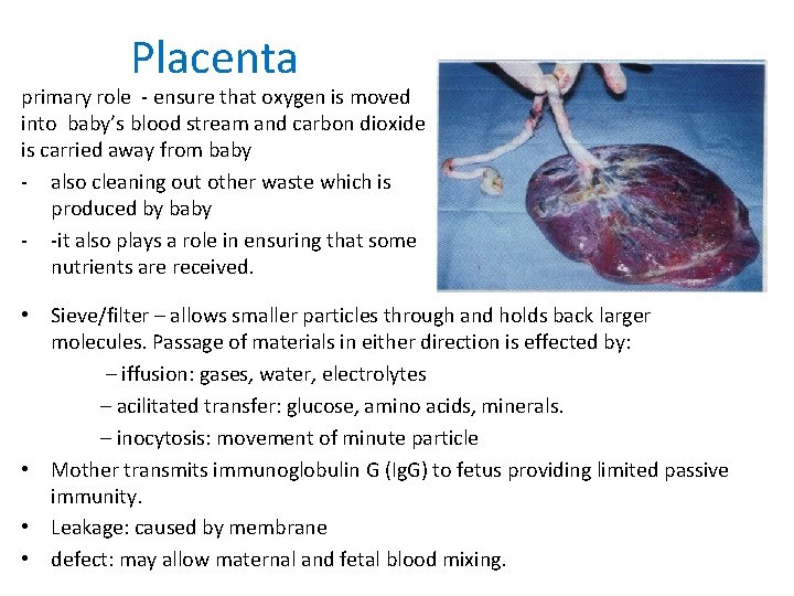 Placenta primary role - ensure that oxygen is moved into baby’s blood stream and Placenta primary role - ensure that oxygen is moved into baby’s blood stream and