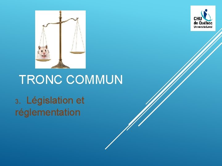 TRONC COMMUN. Législation et réglementation 3 