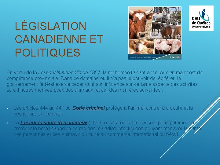  LÉGISLATION CANADIENNE ET POLITIQUES En vertu de la Loi constitutionnelle de 1867, la